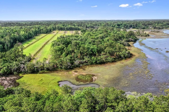 Listing photo 2 for 0 Allandale Plantation Rd, Wadmalaw Island SC 29487