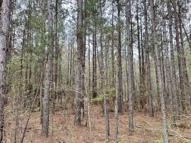1 Bowman Branch Highway, Bowman, SC 29018