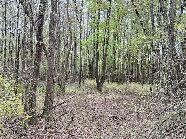 1 Bowman Branch Highway, Bowman, SC 29018