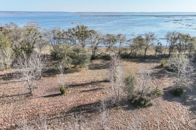 Listing photo 2 for TBD Nathan Pope Rd, Saint Helena Island SC 29920