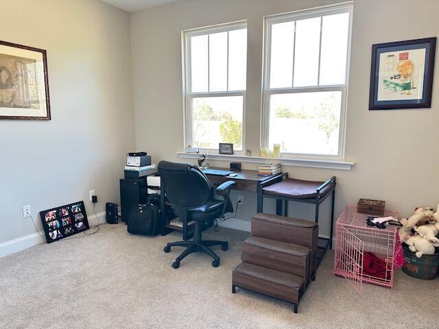 office featuring light colored carpet, a healthy amount of sunlight, and baseboards