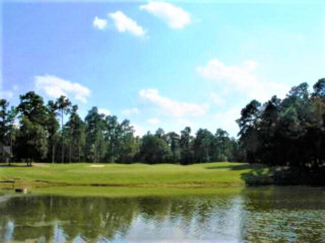 view of water feature