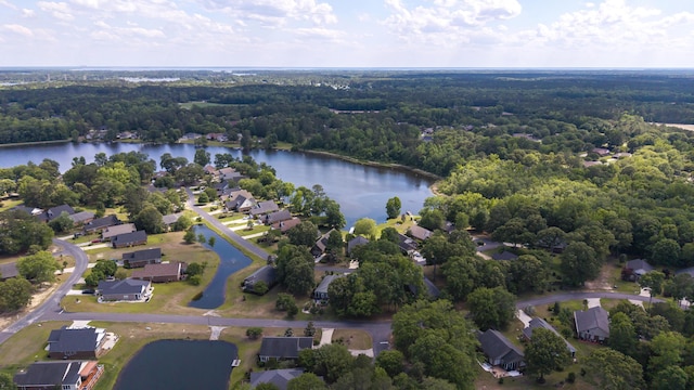 256 Ridge Lake Dr, Manning, SC 29102 - aerial overview of property's location featuring a forest, a nearby body of water, and nearby suburban area