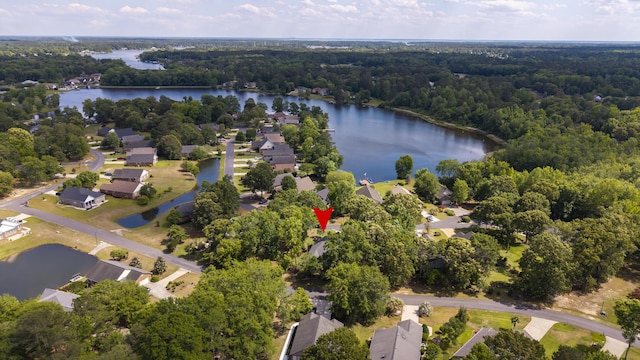 256 Ridge Lake Dr, Manning, SC 29102 - view of property location with a forest, a nearby body of water, and nearby suburban area