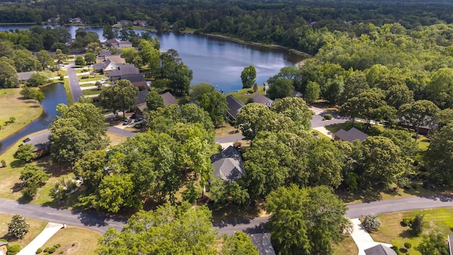 256 Ridge Lake Dr, Manning, SC 29102 - aerial view of property and surrounding area featuring a large body of water and a forest