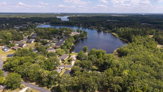 256 Ridge Lake Dr, Manning, SC 29102 - bird's eye view of a heavily wooded area and a nearby body of water