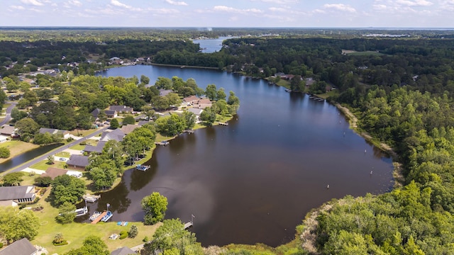 256 Ridge Lake Dr, Manning, SC 29102 - bird's eye view of a nearby body of water and a heavily wooded area