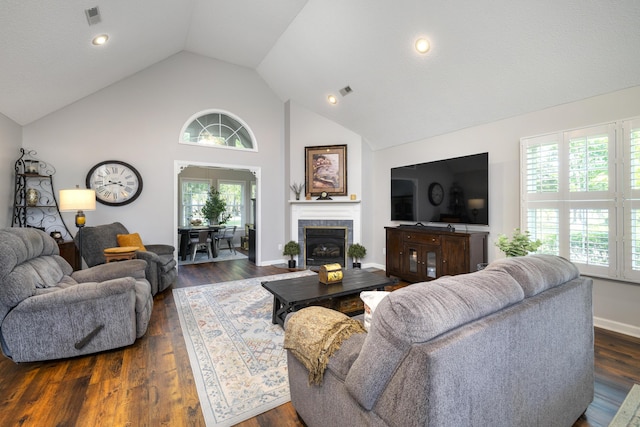 256 Ridge Lake Dr, Manning, SC 29102 - living area featuring plenty of natural light, dark wood finished floors, baseboards, high vaulted ceiling, and recessed lighting