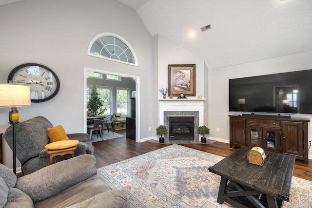256 Ridge Lake Dr, Manning, SC 29102 - living area with high vaulted ceiling, wood finished floors, a fireplace, and baseboards