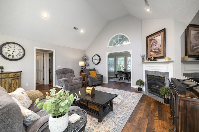256 Ridge Lake Dr, Manning, SC 29102 - living area featuring wood finished floors, high vaulted ceiling, and a fireplace