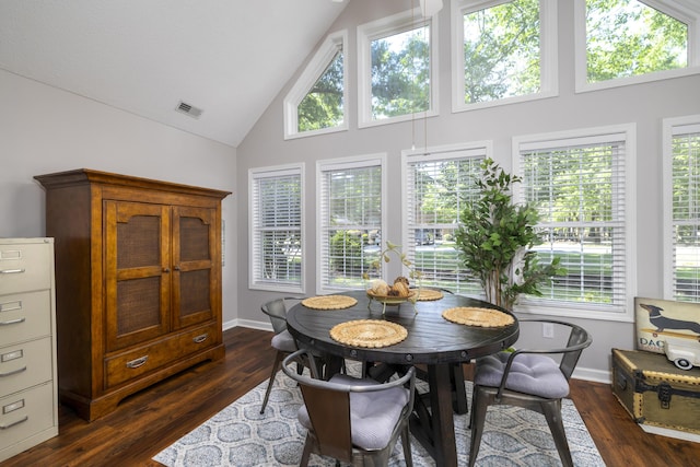 256 Ridge Lake Dr, Manning, SC 29102 - dining area with high vaulted ceiling, dark wood-type flooring, and baseboards