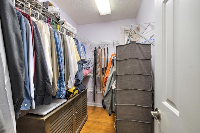 256 Ridge Lake Dr, Manning, SC 29102 - spacious closet with light wood-type flooring