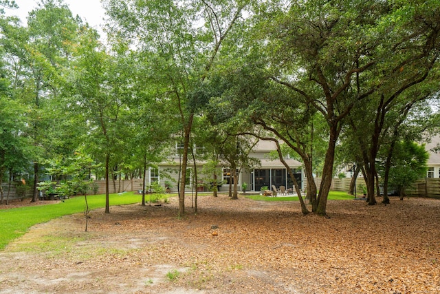 233 Camber Rd, Huger, SC 29450 - view of yard