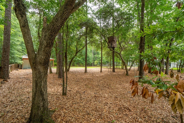 233 Camber Rd, Huger, SC 29450 - view of local wilderness