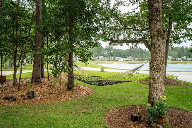 233 Camber Rd, Huger, SC 29450 - view of home's community with a yard and a water view