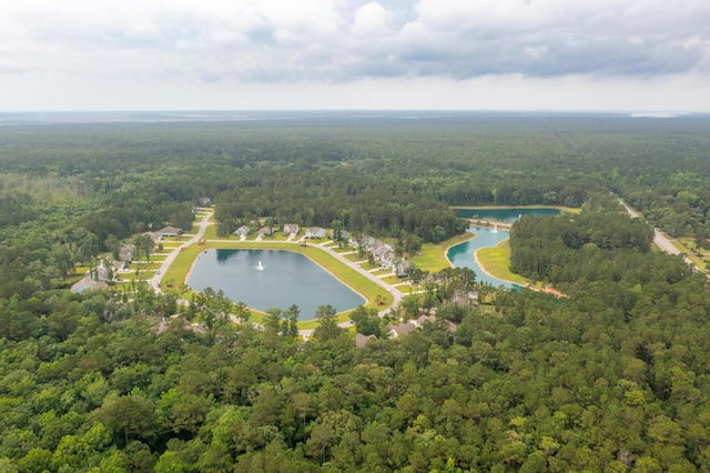 233 Camber Rd, Huger, SC 29450 - aerial overview of property's location featuring a forest and a nearby body of water