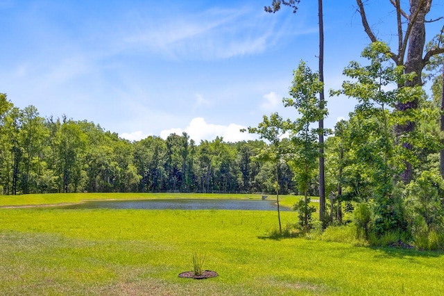 407 Spruce Ivy St, Moncks Corner, SC 29461 - view of community featuring a water view, a forest view, and a yard