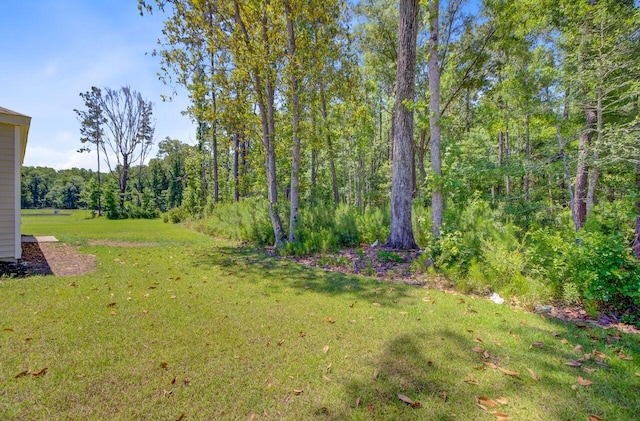 407 Spruce Ivy St, Moncks Corner, SC 29461 - view of grassy yard with a forest view