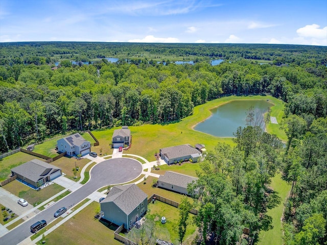 407 Spruce Ivy St, Moncks Corner, SC 29461 - aerial view of a heavily wooded area and a large body of water