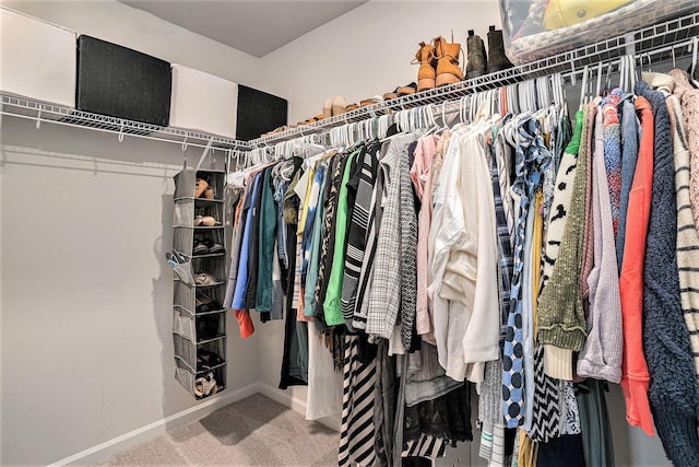 spacious closet featuring carpet