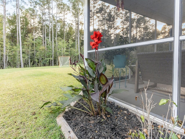 view of yard with a sunroom