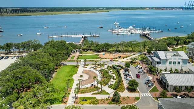 1722 Trewin Ct, Charleston, SC 29492 - bird's eye view of a large body of water