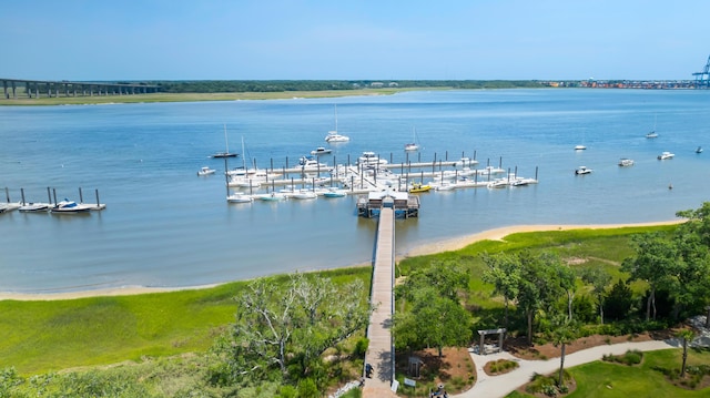 1722 Trewin Ct, Charleston, SC 29492 - water view