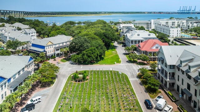 1722 Trewin Ct, Charleston, SC 29492 - drone / aerial view of a large body of water
