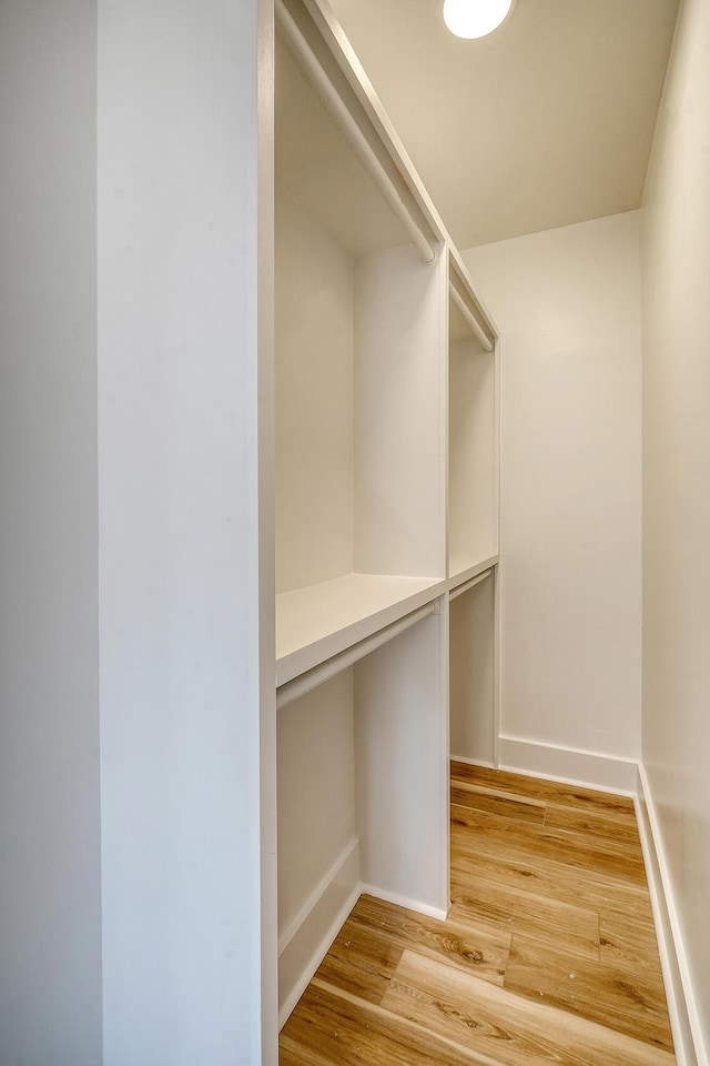 spacious closet featuring light wood-type flooring