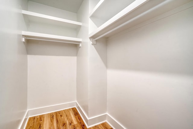 spacious closet featuring wood-type flooring