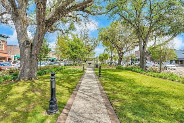 view of community featuring a yard