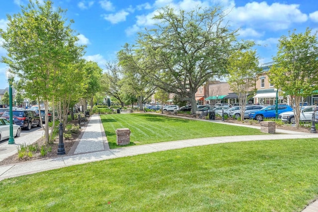 view of community with a yard