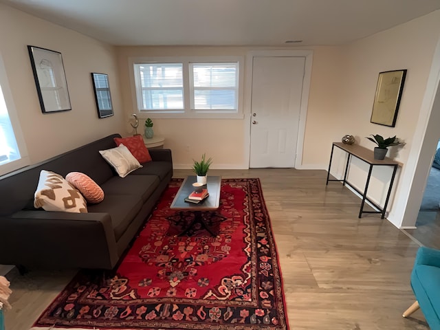 living room with light wood-type flooring