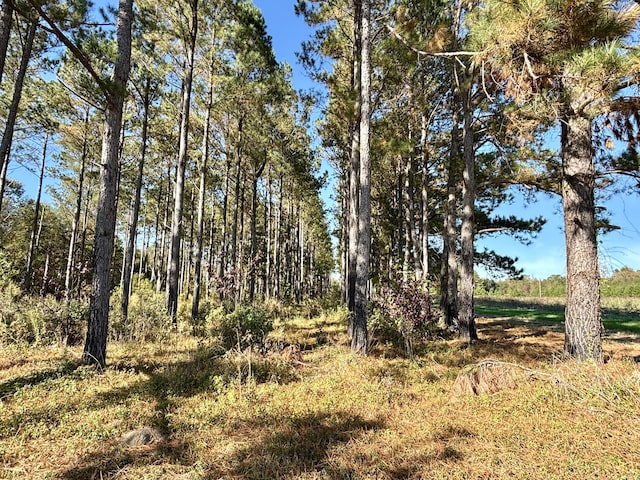 view of local wilderness