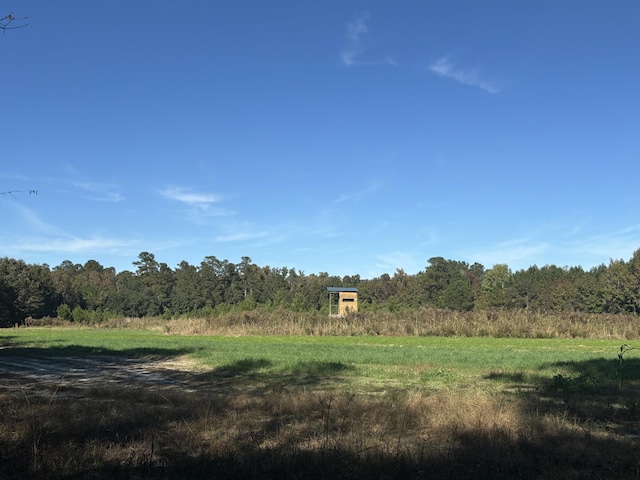 view of yard with a rural view