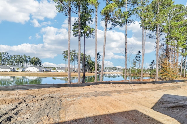 316 Calm Water Way, Summerville, SC 29486 - water view