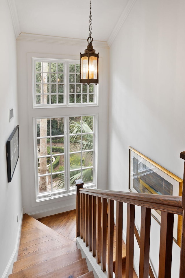 stairs with ornamental molding and wood-type flooring