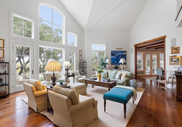 living room featuring french doors, a healthy amount of sunlight, and hardwood / wood-style flooring