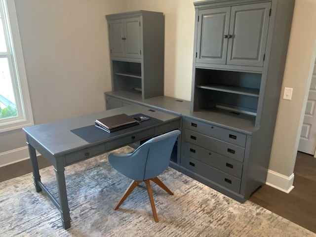 office featuring wood-type flooring