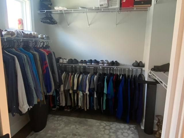 view of walk in closet