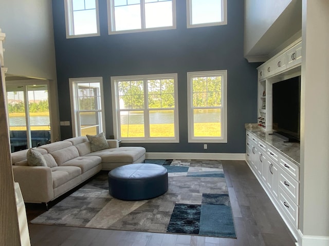 living room with a high ceiling and dark hardwood / wood-style floors