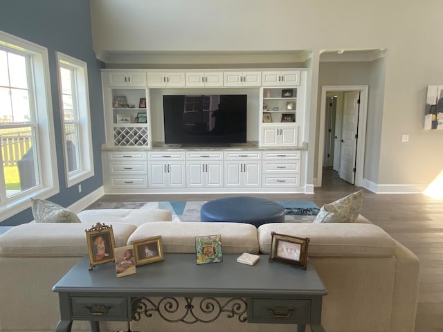 living room featuring hardwood / wood-style floors