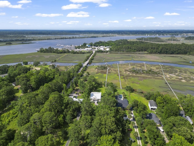 1193 River Rd, Johns Island, SC 29455 - aerial view of property's location featuring a nearby body of water and a tree filled landscape