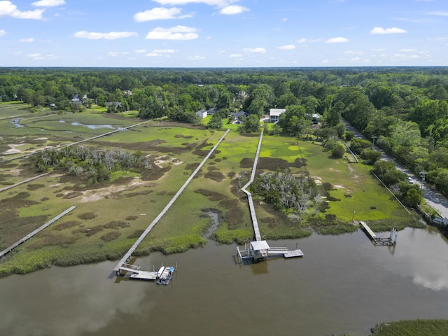 1193 River Rd, Johns Island, SC 29455 - bird's eye view of a large body of water and a heavily wooded area