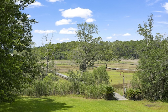 1193 River Rd, Johns Island, SC 29455 - view of green lawn