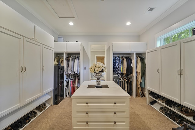1193 River Rd, Johns Island, SC 29455 - walk in closet featuring light carpet