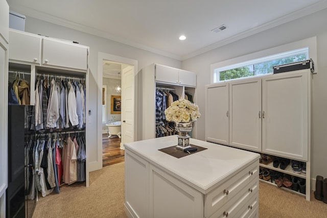 1193 River Rd, Johns Island, SC 29455 - spacious closet featuring light carpet