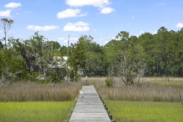 1193 River Rd, Johns Island, SC 29455 - dock featuring a wooded view