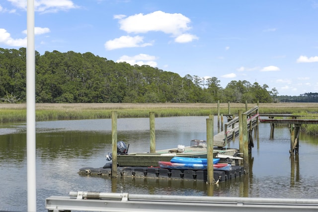 1193 River Rd, Johns Island, SC 29455 - dock area with a water view and a forest view