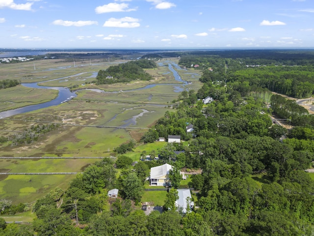 1193 River Rd, Johns Island, SC 29455 - view of property location with a large body of water and a heavily wooded area